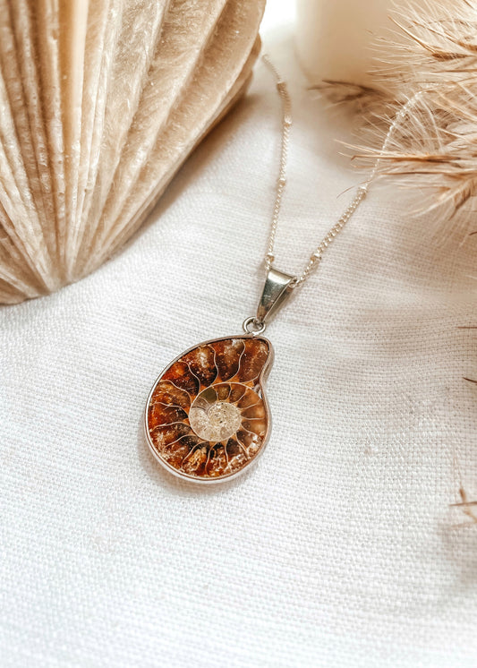 Ammonite Fossil Pendant