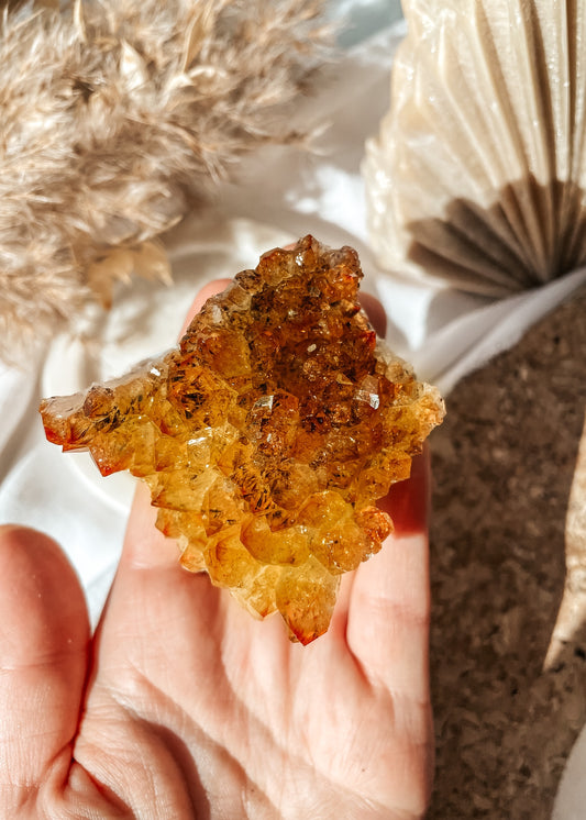 Citrine Cluster #3