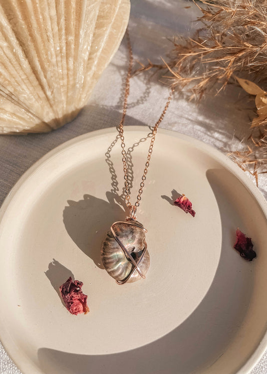 Pearlised Ammonite Rose Gold Wire Wrapped Necklace