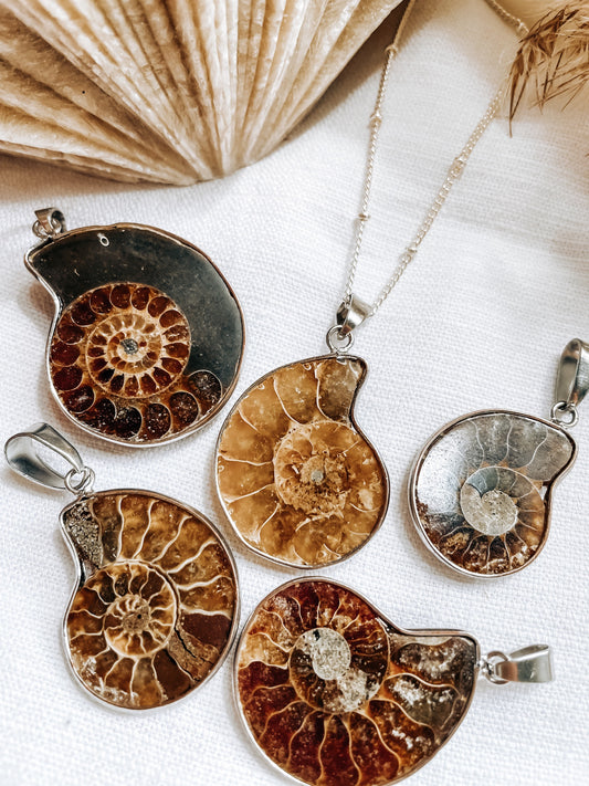 Ammonite Fossil Pendant